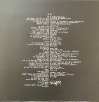 LP Kollapse: AR