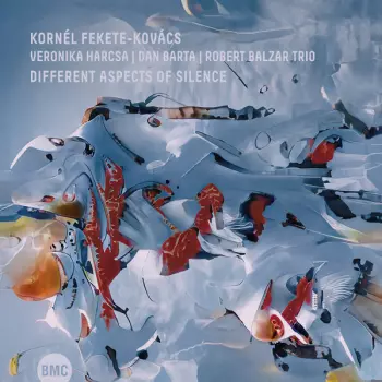 Dan Bárta: Different Aspects of Silence
