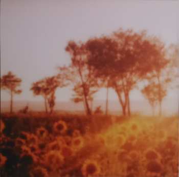 5LP Kruder & Dorfmeister: The K&D Sessions™