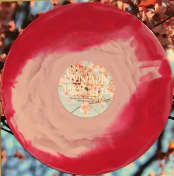 2LP Kuusumun Profeetta: Jatkuvasti Maailmaa Pelastamaan Kyllästynyt Supersankari CLR | LTD