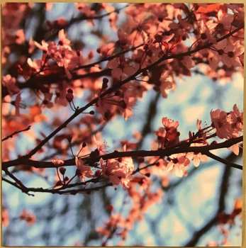 2LP Kuusumun Profeetta: Jatkuvasti Maailmaa Pelastamaan Kyllästynyt Supersankari CLR | LTD