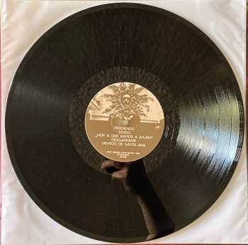 LP La Texana: La Casa Que Cae