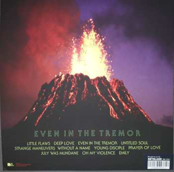 LP Lady Lamb The Beekeeper: Even In The Tremor