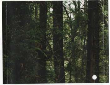 CD Ladyhawk: Ladyhawk