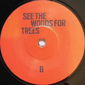 SP Lali Puna: Remember