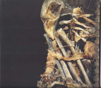 CD Lamb Of God: VII: Sturm Und Drang LTD | DIGI