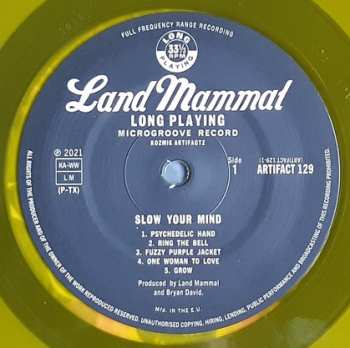 LP Land Mammal: Slow Your Mind CLR