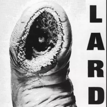 Power Of Lard EP