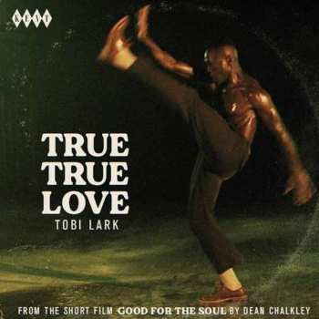 Album Lark,tobi / The Dave & Darrell Band: True True Love