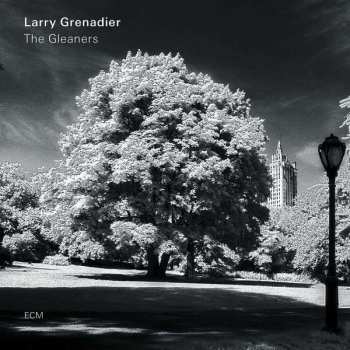 CD Larry Grenadier: The Gleaners