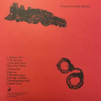 LP Laura Veirs: The Triumphs & Travails Of Orphan Mae