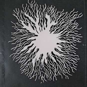 LP Läuten Der Seele: Unterhaltungen Mit Larven Und Überresten LTD