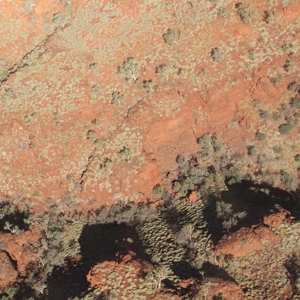 LP Lawrence English: Tropic of Capricorn CLR | LTD