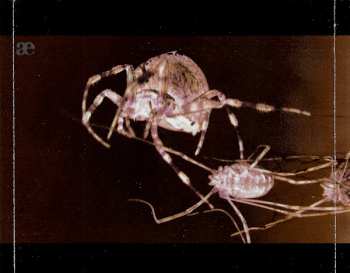 3CD/Dobozkészlet Leæther Strip: After The Devastation LTD