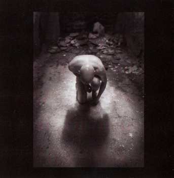 2CD/Dobozkészlet Leæther Strip: Yes I'm Limited V LTD
