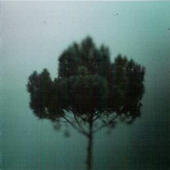 CD Leap Day: Treehouse DIGI