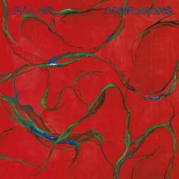 CD L'Eclair: Confusions DIGI