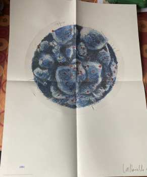 LP Lee Ranaldo: In Virus Times LTD | CLR