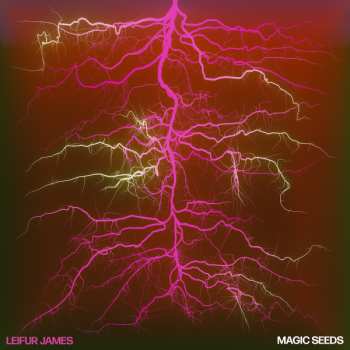 Album Leifur James: Magic Seeds