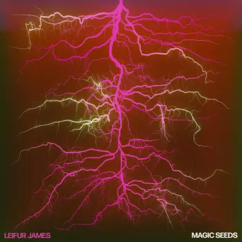 Leifur James: Magic Seeds