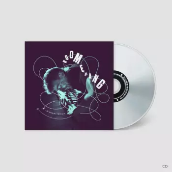 Lennart Smidt: Boomerang