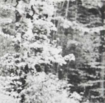 CD Léo Ferré: Léo Ferré