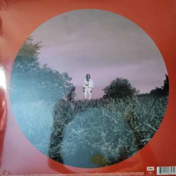 2LP León Larregui: Prismarama