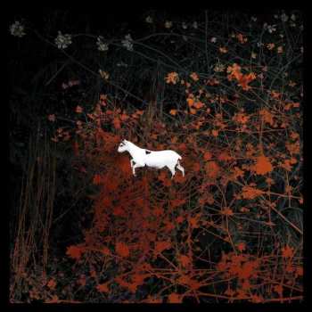 2LP/2CD/DVD/Dobozkészlet Les Discrets: Prédateurs LTD | CLR