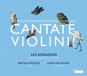 Album Anne Delafosse-Quentin: Cantate Violini! - Florid Early Baroque Songs And Polyphony