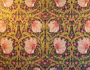 CD Lety: The Wallflower