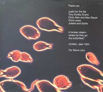 CD Tom Rainey: Romance Among The Fishes