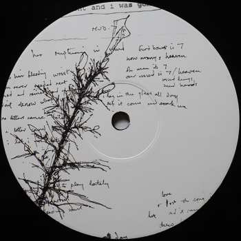 2LP Liar, Flower: Geiger Counter