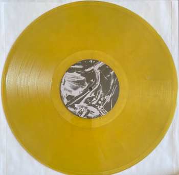 LP Lié: You Want It Real CLR | LTD