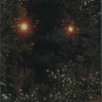 CD Like Rats: Like Rats