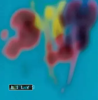 Lilys: Eccsame The Photon Band