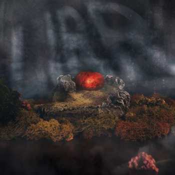 Album lirr.: God's On Our Side; Welcome To The Jungle
