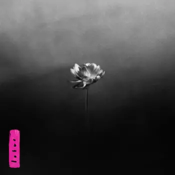 Little Simz: Lotus