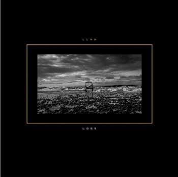 CD LLNN: Loss