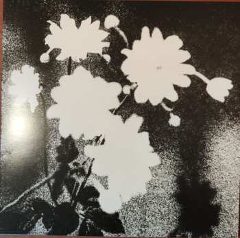 LP Loma Prieta: Last CLR