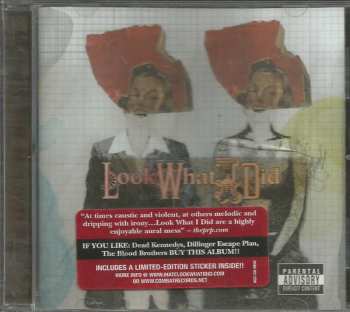 CD Look What I Did: Minuteman For The Moment