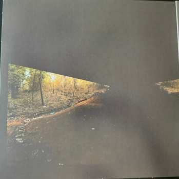 LP Lord Buffalo: Holus Bolus CLR | LTD