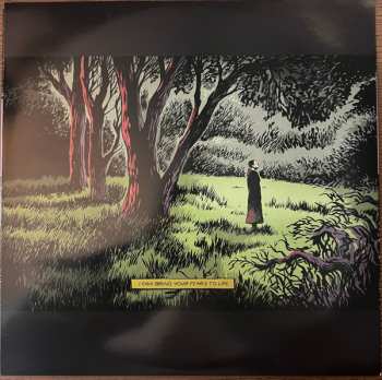 2LP Lord Huron: Strange Trails LTD