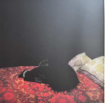 LP Los Campesinos!: We Are Beautiful, We Are Doomed CLR