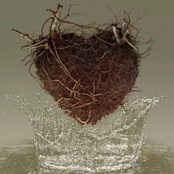 Los Planetas: Las Canciones Del Agua
