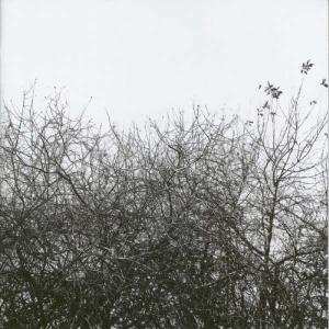 Album Simon Joyner: Lost With The Lights On