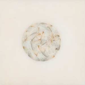 Album Lotte Kestner: Off White