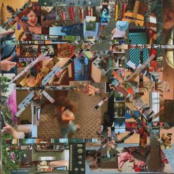 Album Lou Barlow: Reason To Live L.P.