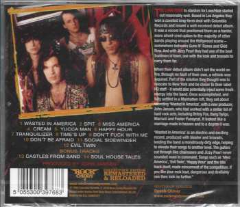 CD Love/Hate: Wasted In America