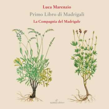 CD La Compagnia Del Madrigale: Primo Libro Di Madrigali