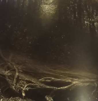 CD Luca Turilli's Rhapsody: Ascending To Infinity